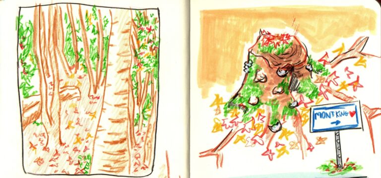 Drawing Nature in Val-Morin: A Creative Escape to the Laurentians