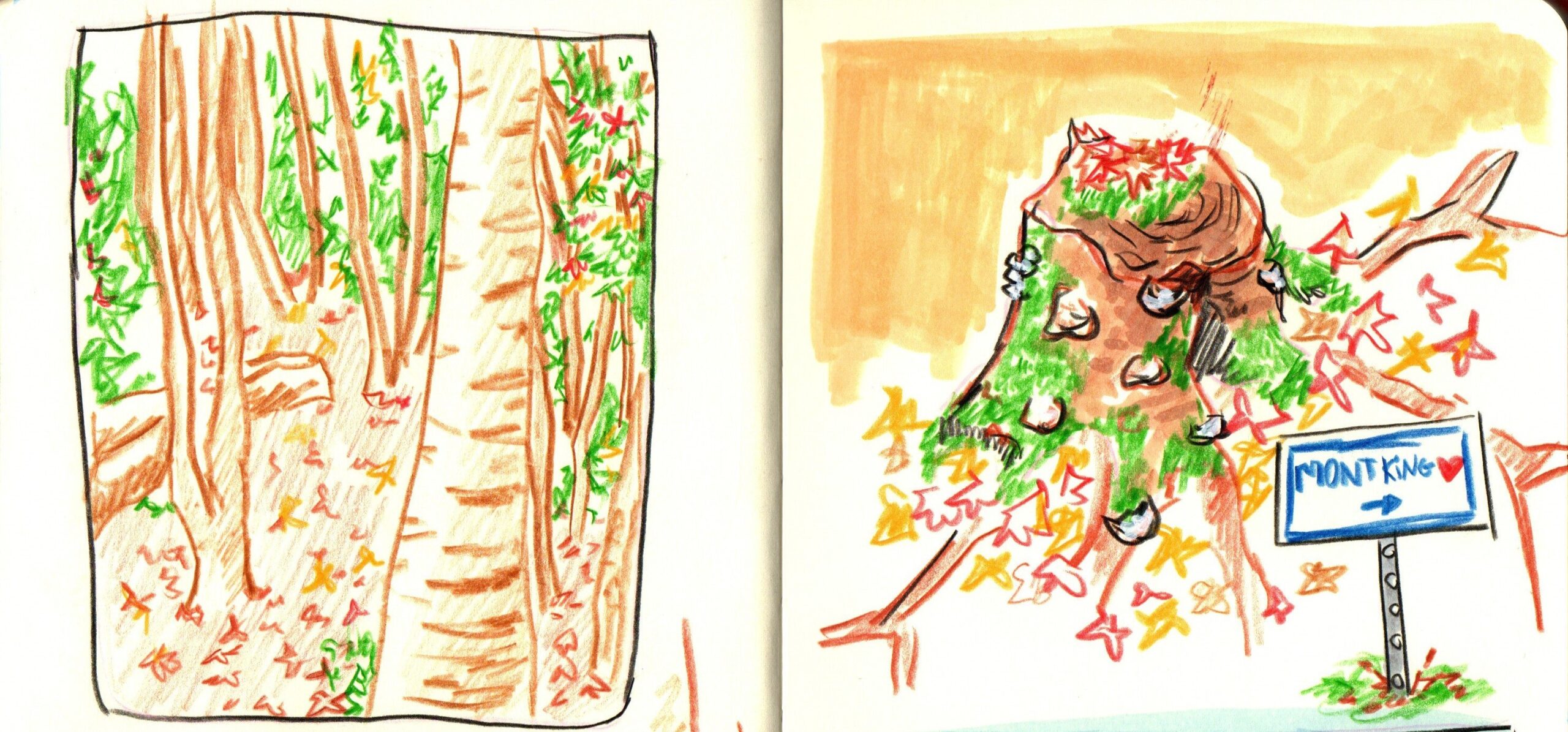 You are currently viewing Drawing Nature in Val-Morin: A Creative Escape to the Laurentians