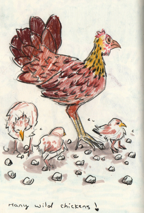 The joy of quick sketches during vacations